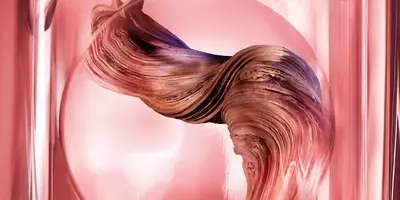 Sándalo para representar el aroma del sándalo en el perfume