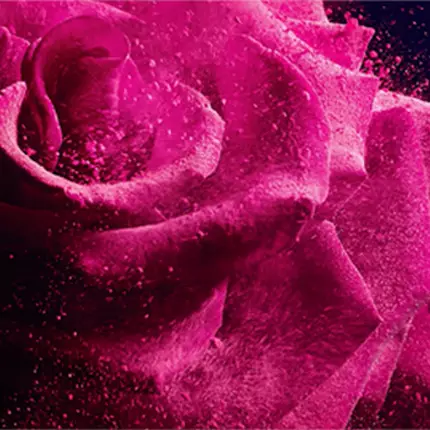 Empleo en Lancôme