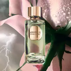 Storm & Roses