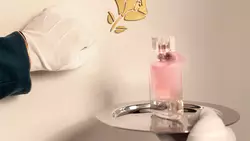 buscador de perfumes