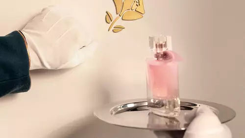 buscador de perfumes de lancôme