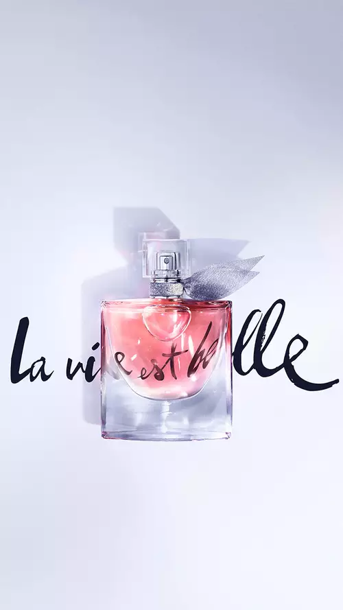 Ilustración de La Vie Est Belle