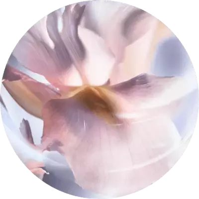 HORMIGÓN IRIS PALLIDA