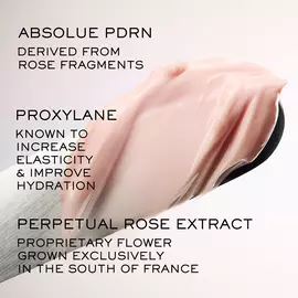 Absolue Longevity Soft Cream