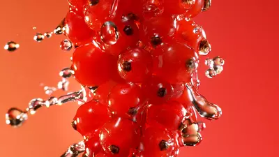 Bayas rojas con agua salpicada.