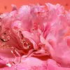 Pétalos de flores rosas con gotas de agua.