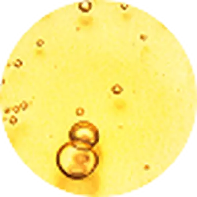 Vitamina E