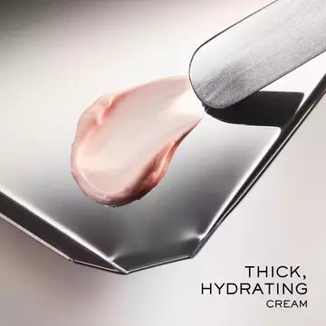 Humectante con crema enriquecida Absolue