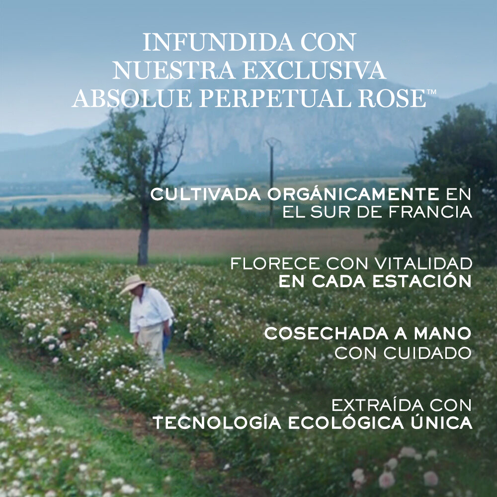 Dúo de crema suave Humectante Absolue Soft Cream