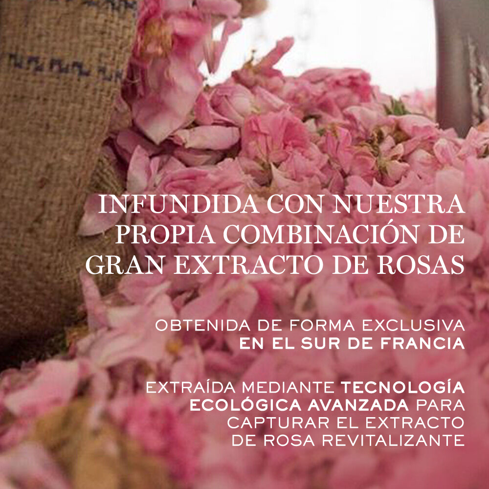 Dúo humectante de crema enriquecida Absolue